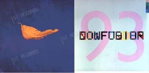 New order vinyl maxi - maxi, 12"